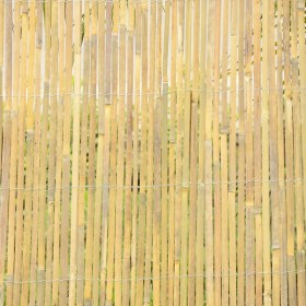 bamboo-σχιστό-30277 (1)